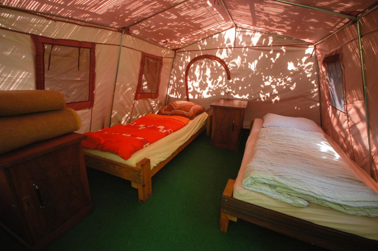 Tent,1271915320:JPEG